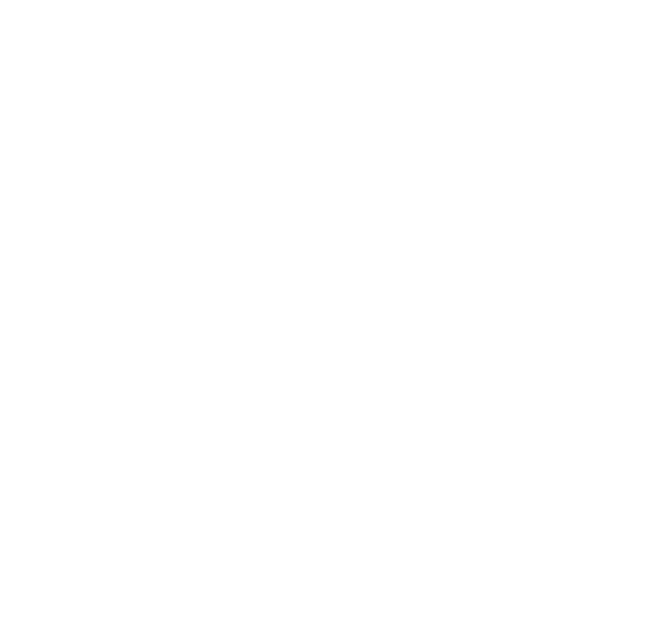 pay-icons